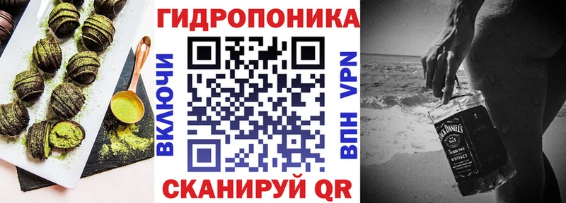 где найти   Волхов  Canna-Cookies марихуана 