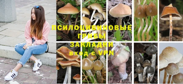 мдпв Арсеньев