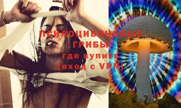дживик Балабаново