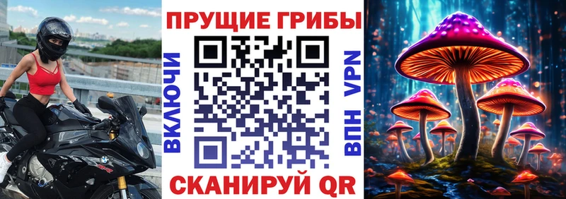 mega   цена наркотик  Волхов  Псилоцибиновые грибы мухоморы 