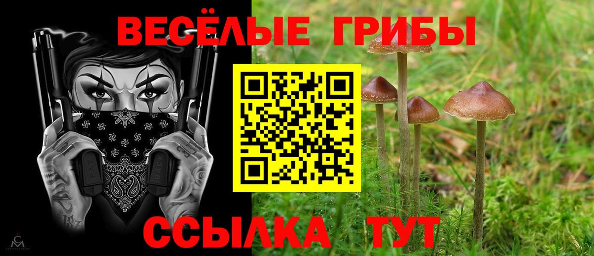 Галлюциногенные грибы ЛСД  Вход с VPN  Псилоцибиновые грибы прущие грибы  Волхов 