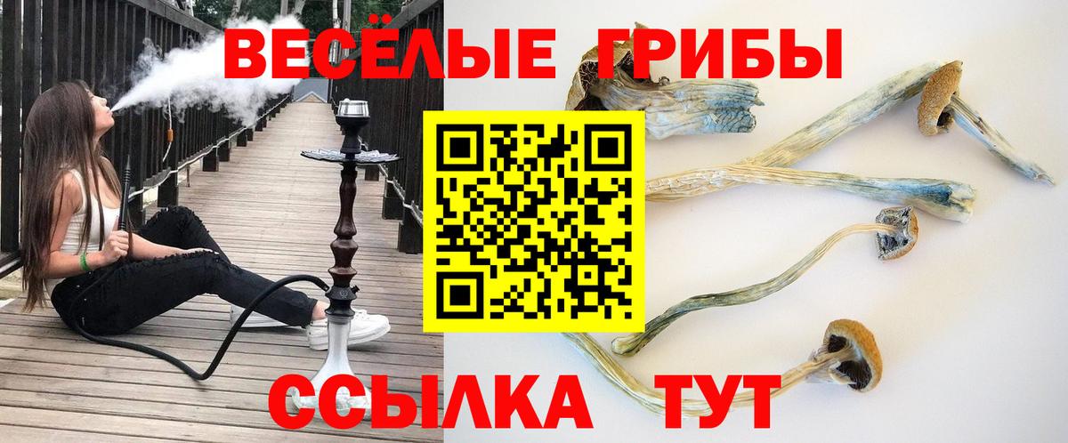 Меф Волхов