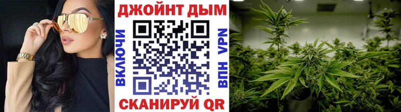 mega ONION  купить  цена  Волхов  Канабис марихуана 