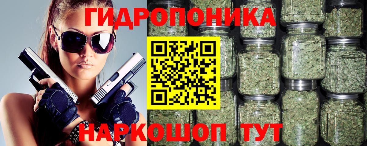Каннабис план  Марихуана LSD WEED  МАРИХУАНА семена  Вход с VPN  Волхов  Каннабис OG Kush 